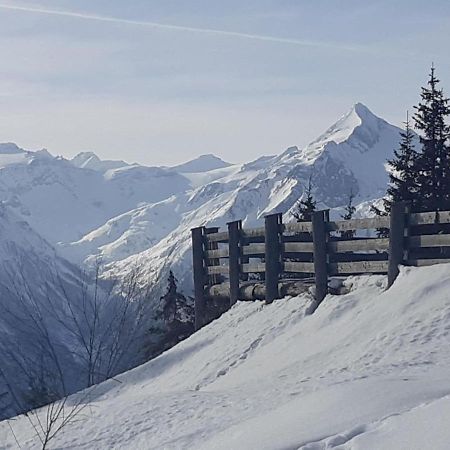 Bright Flat Close To The Ski Area Piesendorf Luaran gambar