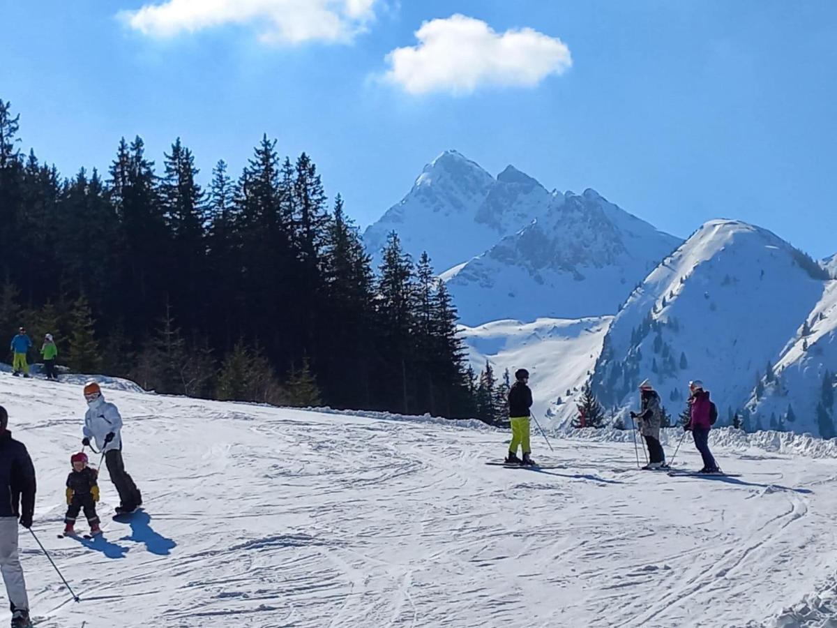 Bright Flat Close To The Ski Area Piesendorf Luaran gambar