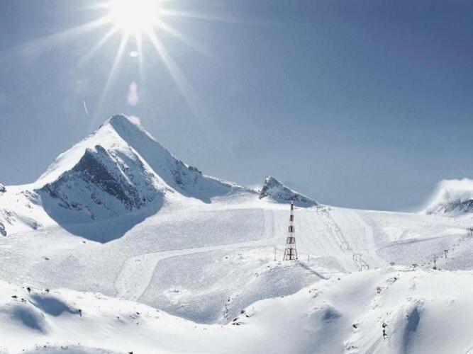 Bright Flat Close To The Ski Area Piesendorf Luaran gambar